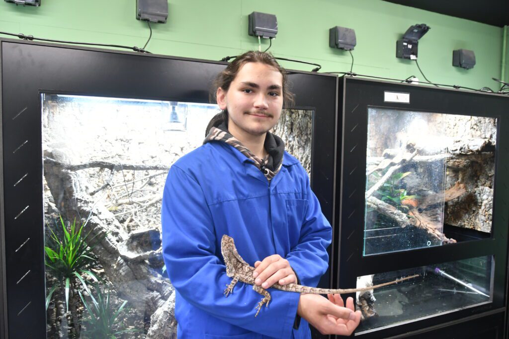 Nicholas Piwowarski handling frilled dragon