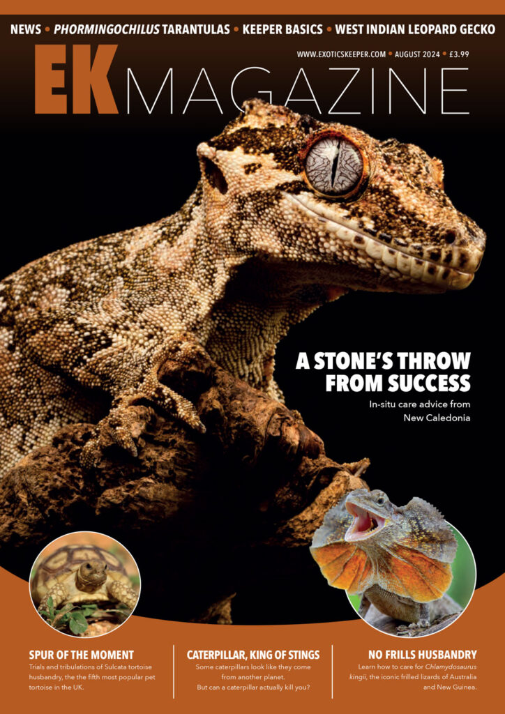 EK Magazine Cover - EK Magazine Aug – 2024 (Issue 46)