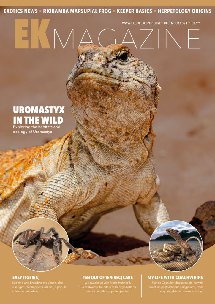 EK Magazine Cover - EK Magazine Dec – 2024 (Issue 50)