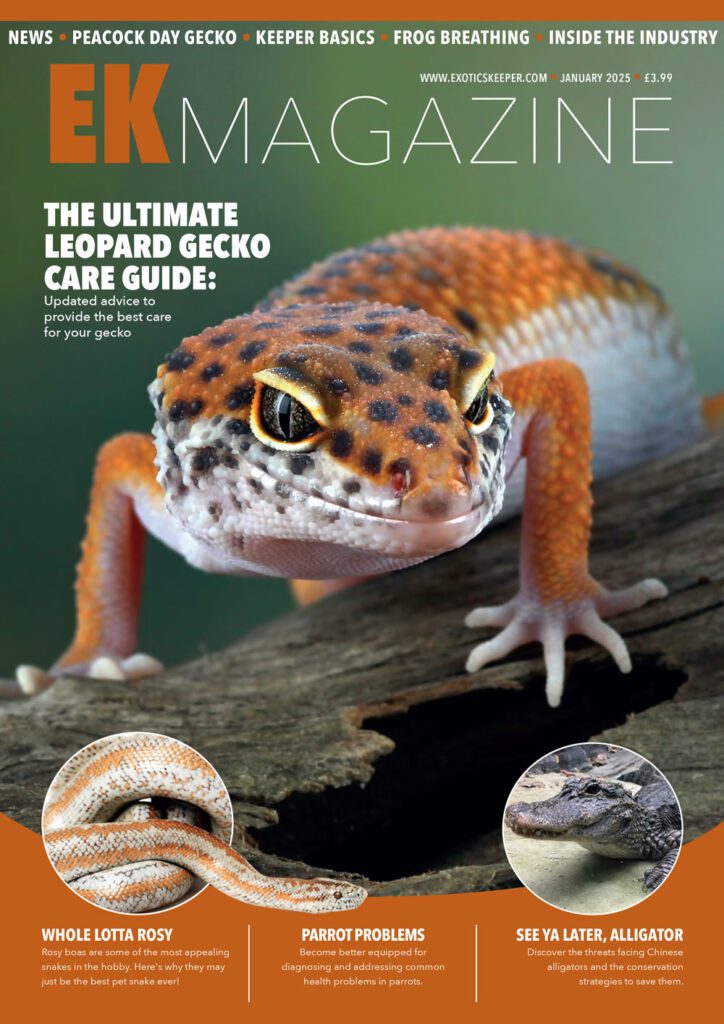 EK Magazine Cover - EK Magazine Jan – 2025 (Issue 51)