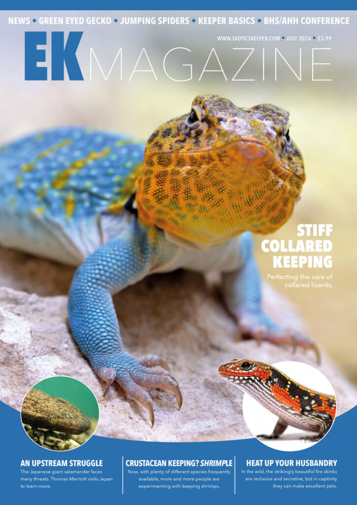 EK Magazine Cover - EK Magazine Jul – 2024 (Issue 45)