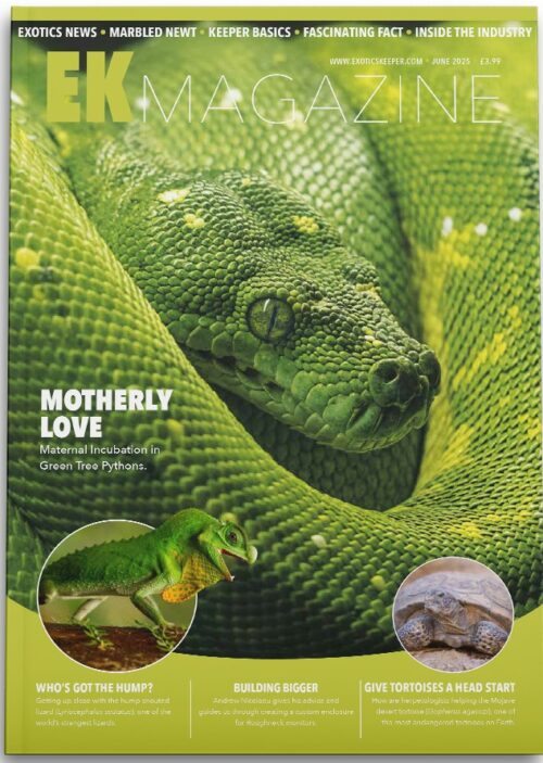 EK Magazine June – 2025 (Issue 56)