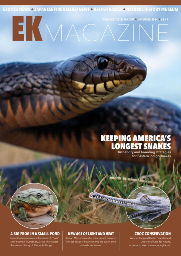 EK Magazine Cover - EK Magazine Nov – 2024 (Issue 49)