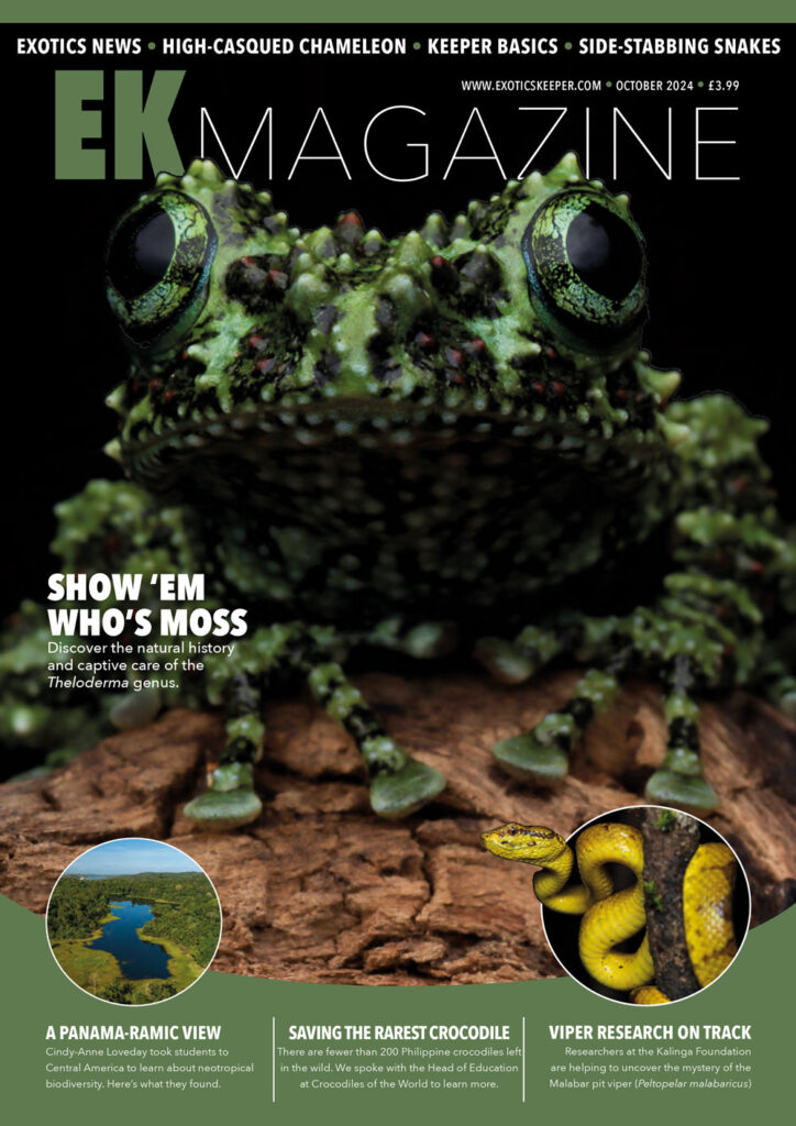 EK Magazine Cover - EK Magazine Oct – 2024 (Issue 48)