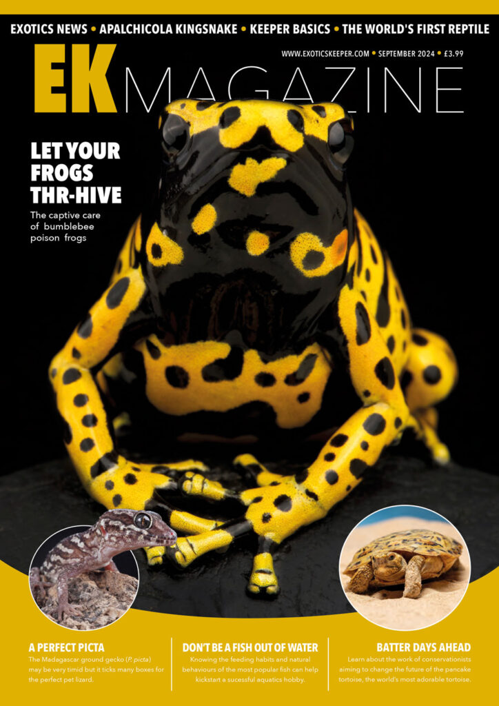 EK Magazine Cover - EK Magazine Sep – 2024 (Issue 47)