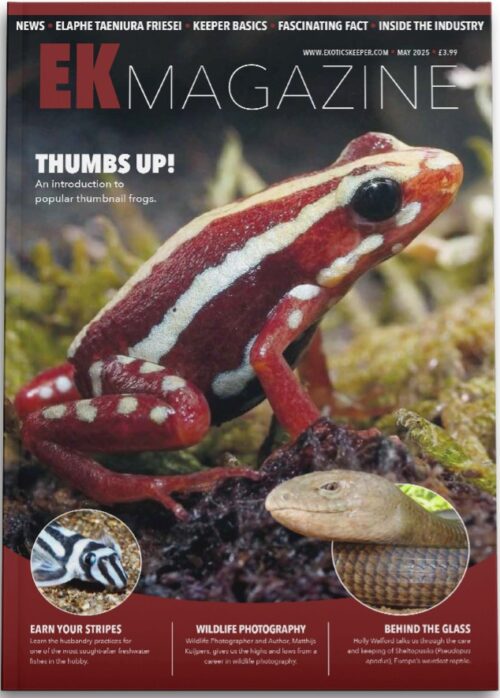 Magazine Subscription
