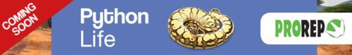 Curated visual reference: Best Nutrition For Snakes With Respiratory Issues And Growth Problems Reference: Understanding Respiratory Problems In Snakes
